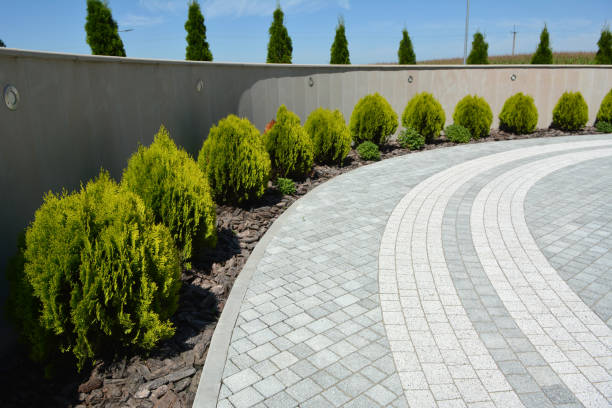 Best Residential Paver Driveway  in Liberty City, TX